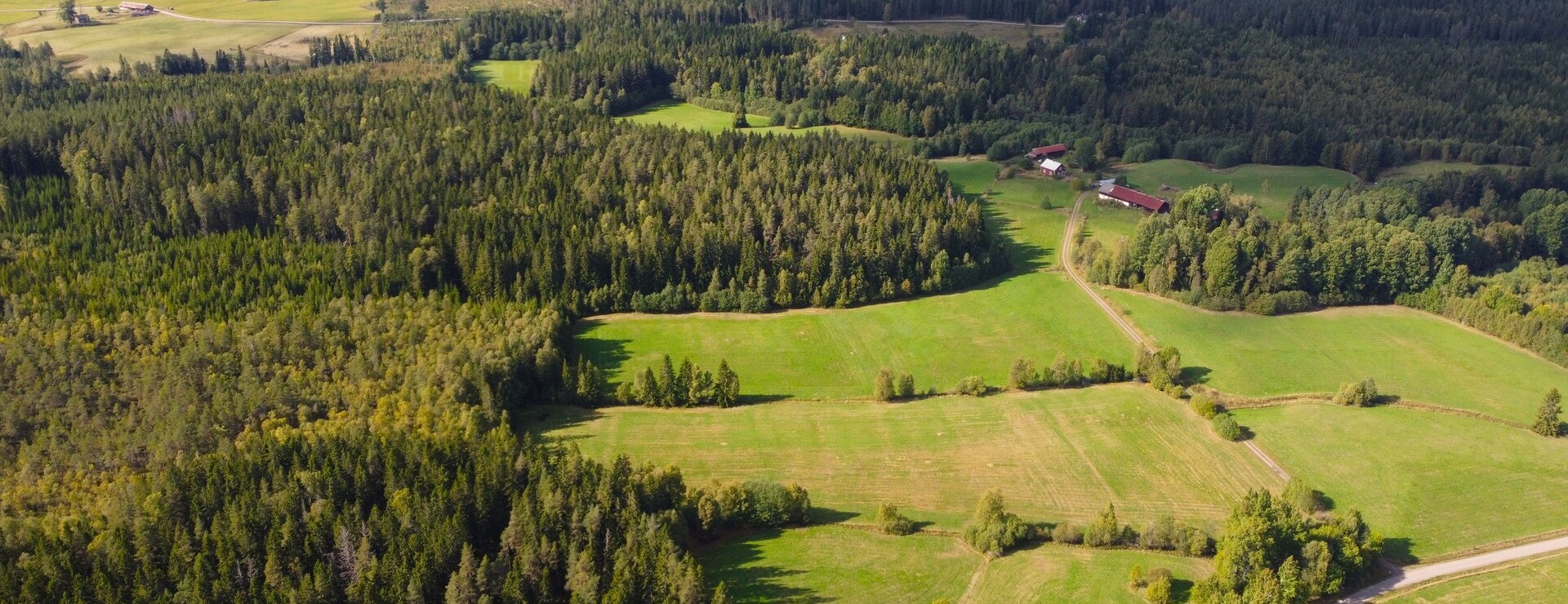 Laggartorp - Massor med avverkningsmogen skog, därtill åkermark och jakt.