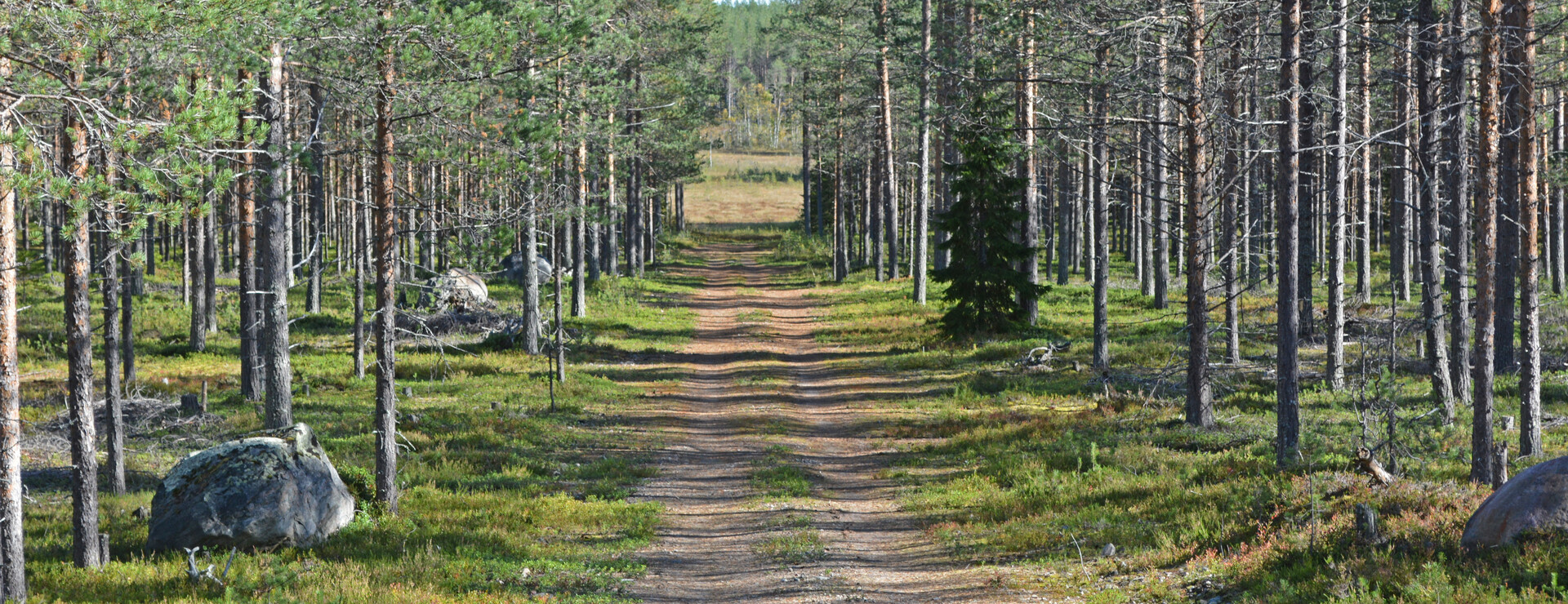 Vuono - Välskötta hedar