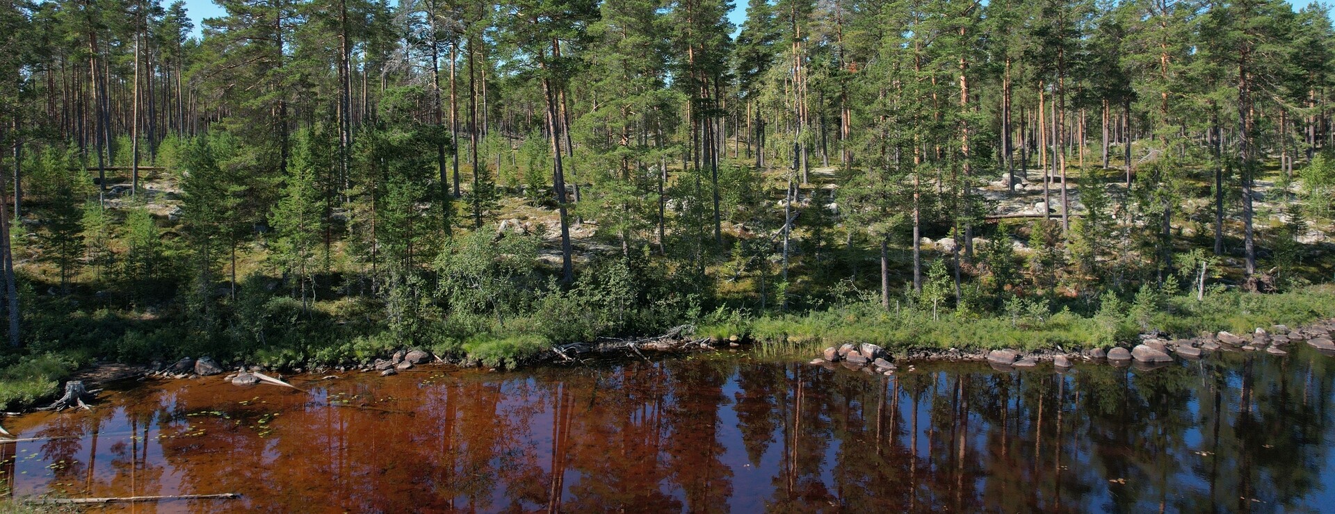 Utby utskog - Tillväxt vid Tjällasen