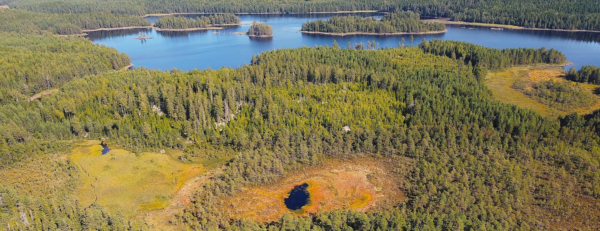 Åbyhult - Skog i naturskönt läge