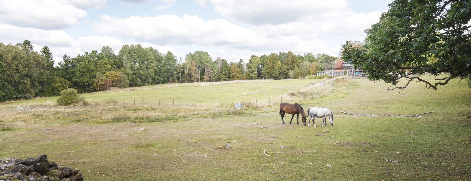 Nässja - Lantgård med skog