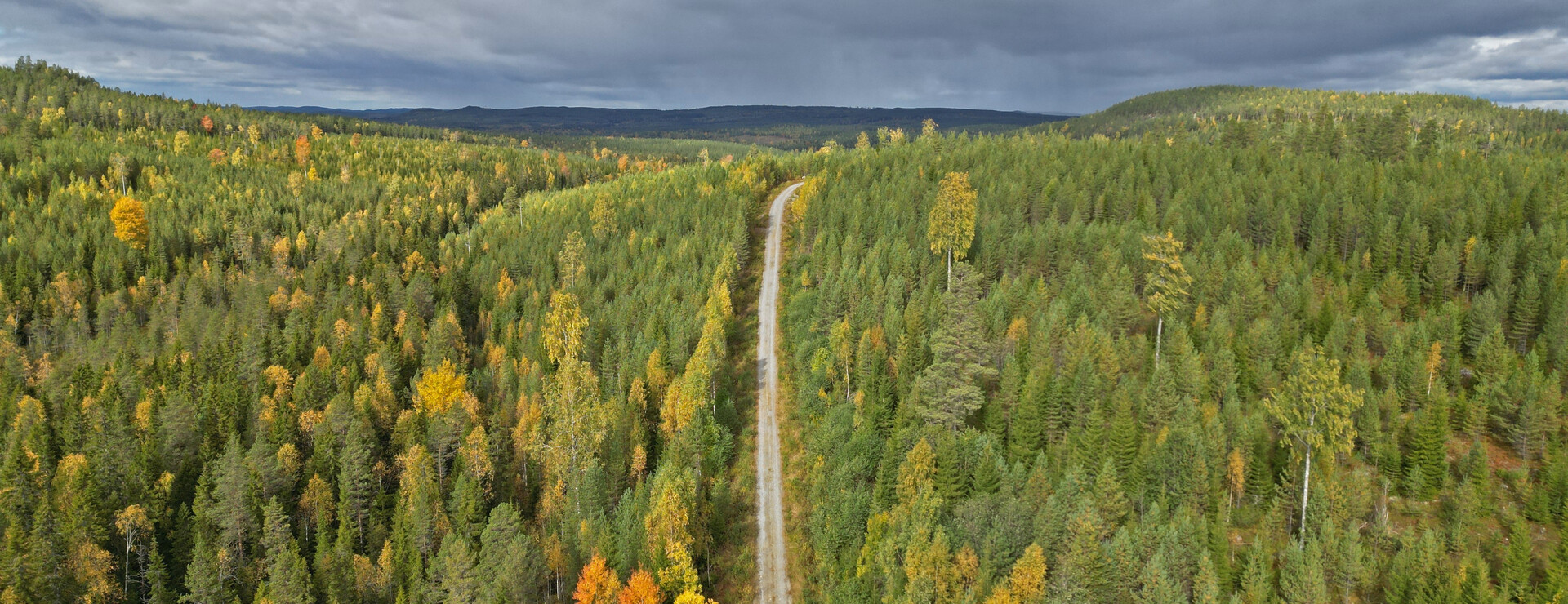 Brattsbacka - Välskött skogsfastighet