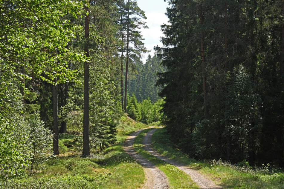 Skogsdag Brovallens motorstadium, Avesta