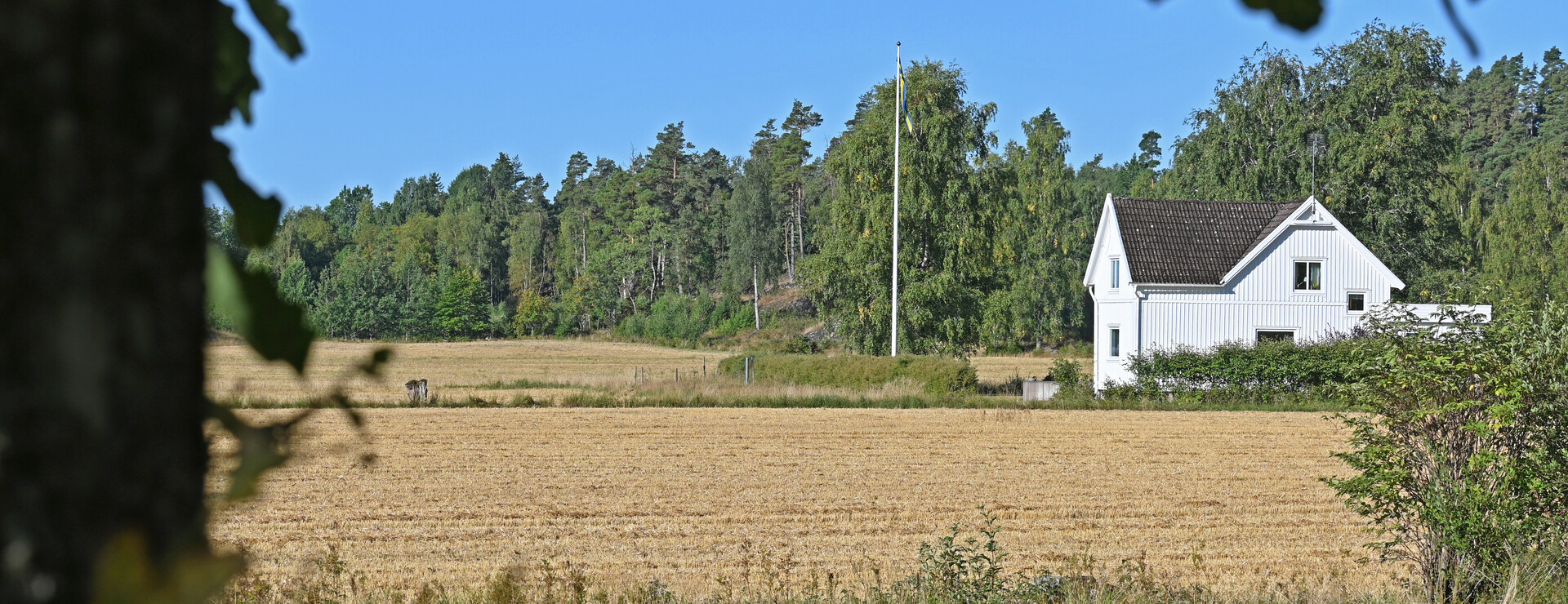 Östergården - Skog, mark och frihet