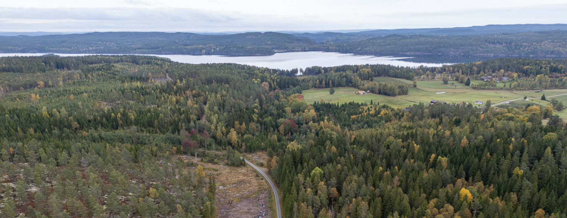 Herrenäs - Skog Bengtsfors