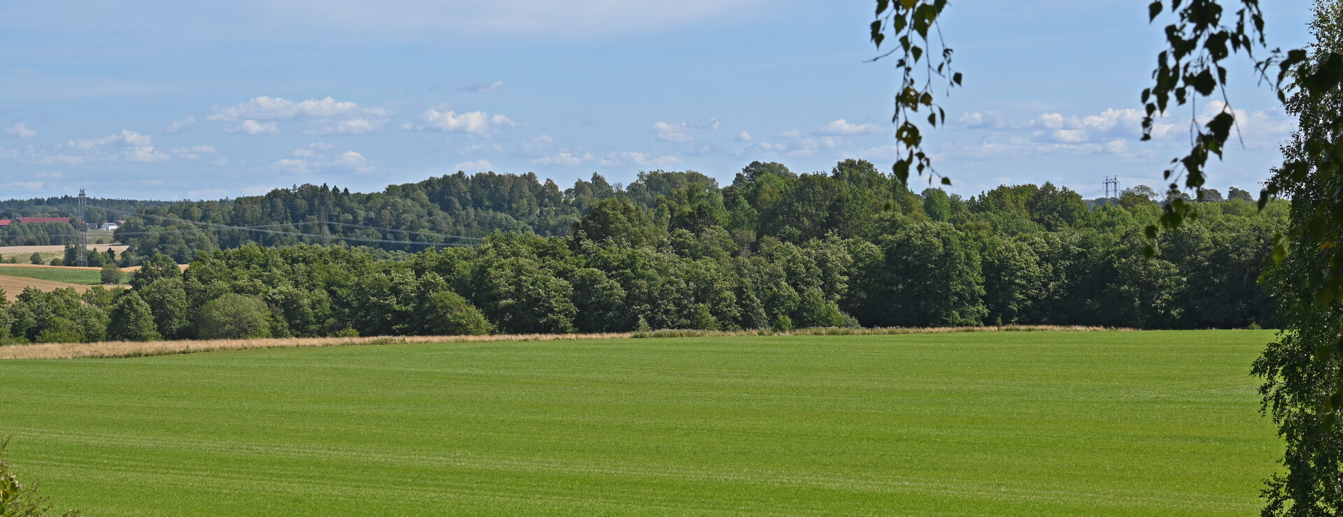Åsbräcka och Fråstad - Jord- och skog