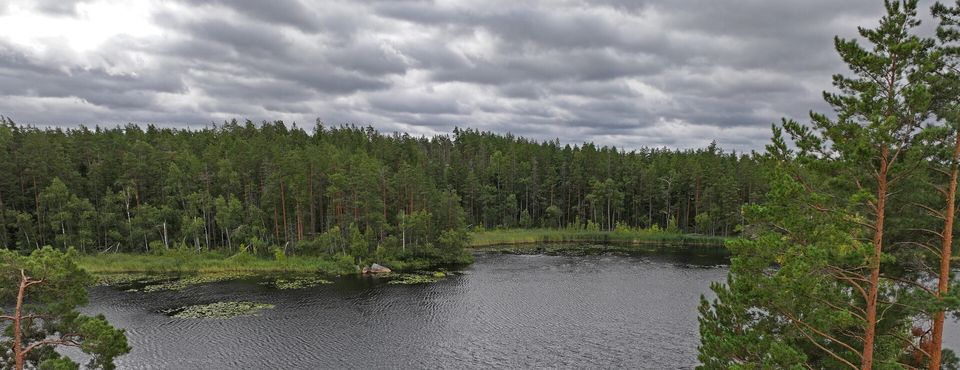 Fliseryds-Boda Skog AB - Skog i Fliseryds-Boda