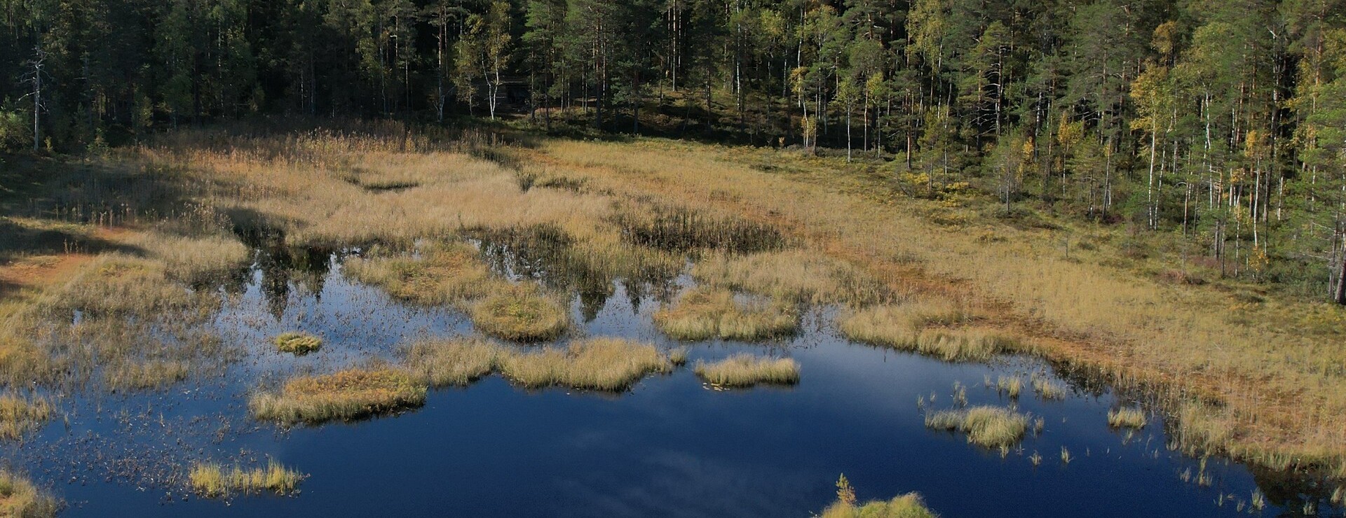 Landtjärn - Skog nära Jäderfors