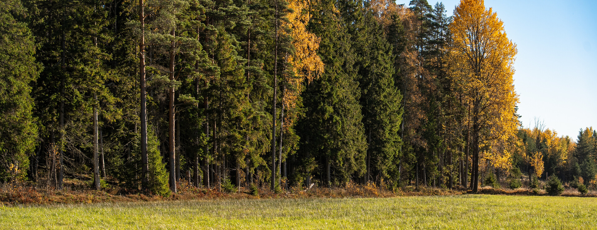 Sanda - Skog och åker i Ölme