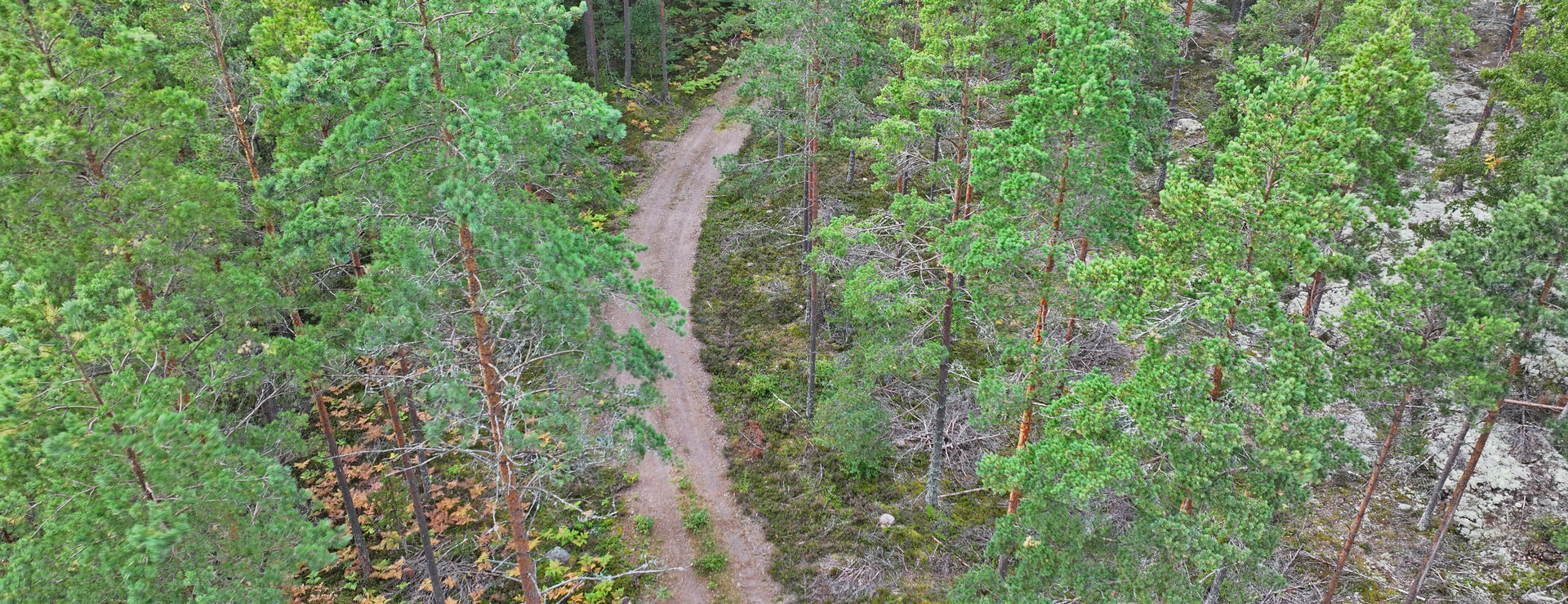 Norra Skärshult Skog AB - Skog i Norra Skärshult
