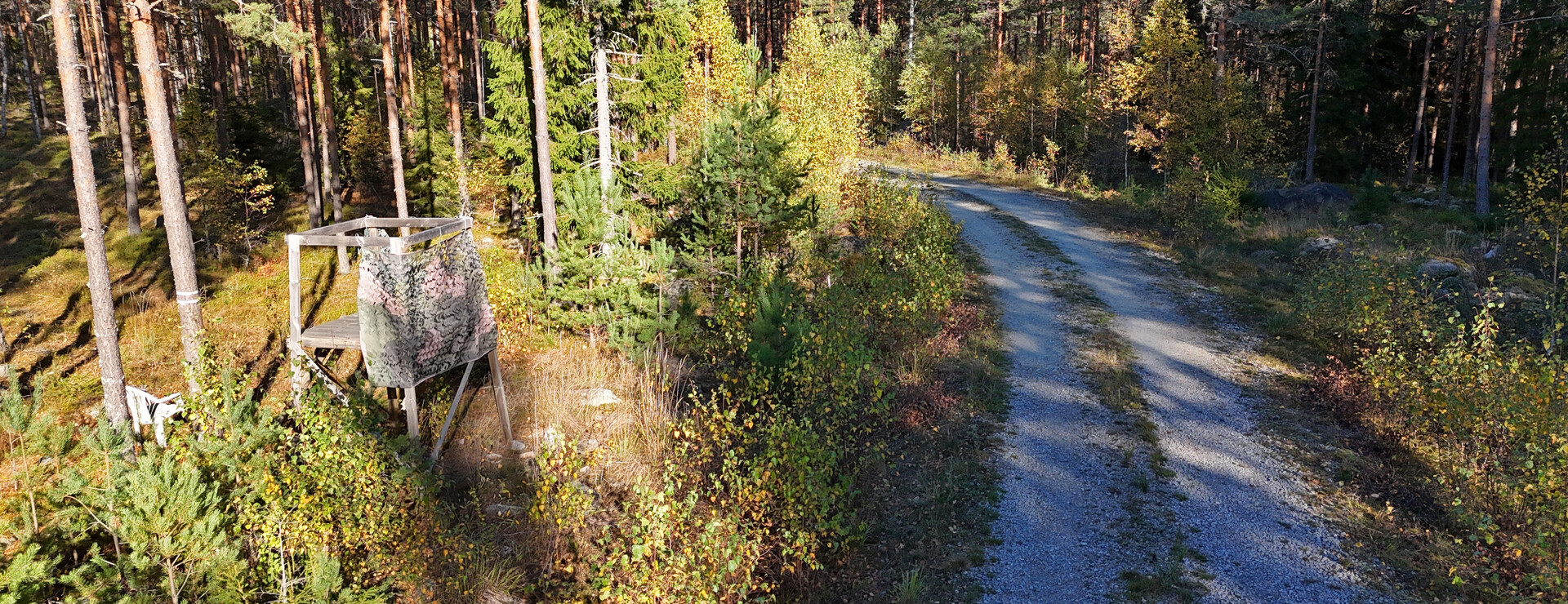 Säter - Välarronderad skogsfastighet